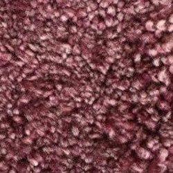 Raspberry