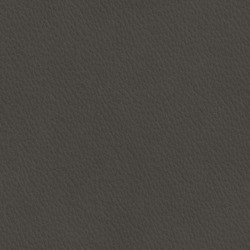 Läder greyshadow [+ 3 040 kr]