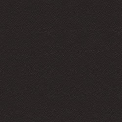Läder Brun [+ 2 810 kr]