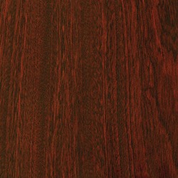 Mahogny (bok)