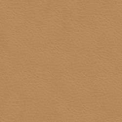 Läder Cognac