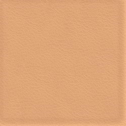 Läder Sahara 4050 [+ 1 600 kr]