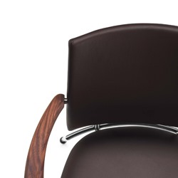 Läderklädd rygg (samma som vald sits) [+ 2 170 kr]
