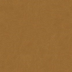 Läder cognac