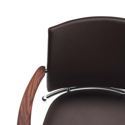 Läderklädd rygg (samma som vald sits) [+ 2 170 kr]