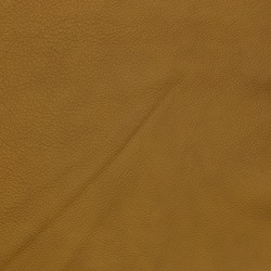 Bolzano Mustard [+ 3 580 kr]