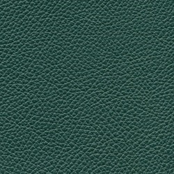 Läder Classic Grön 007 [+ 6 270 kr]
