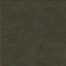 Läder Vintage Green [+ 6 270 kr]