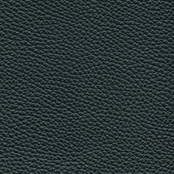 Läder Classic Svart 009