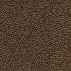Läder: Classic brun 03