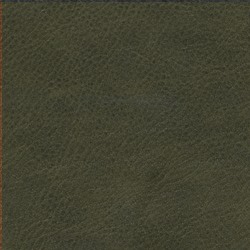 Läder: Vintage Green