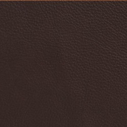 Läder bonded brun