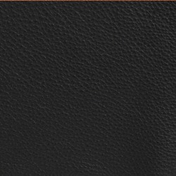 Läder bonded svart [+  595 kr]