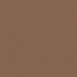 Anilux Nougat