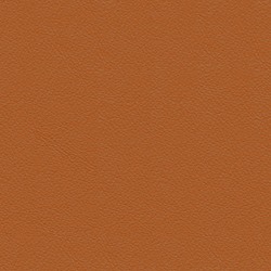 Anilux Cognac
