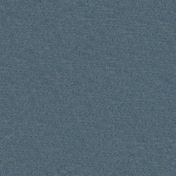 Fenice Denim