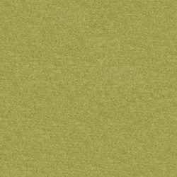 Fenice Kiwi