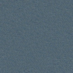Fenice Denim