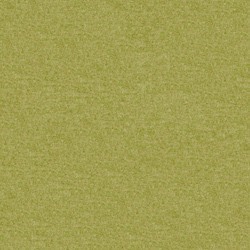 Fenice Kiwi