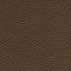Läder: Classic brun 03