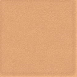 Läder Sahara 4050 [+  800 kr]