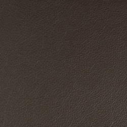 Läder Dark brown 5004 [+  800 kr]
