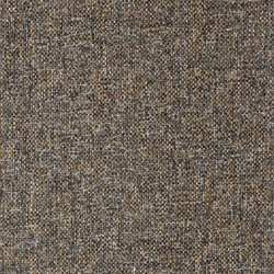 Brahmns 34