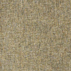 Brahmns 15