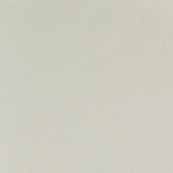 Läder vit 0111 [+  500 kr]