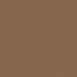 Anilux Nougat