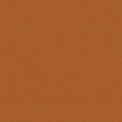 Anilux Cognac