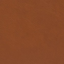 Elmotique cognac 43807
