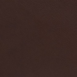 Elmotique mörkbrun 93957