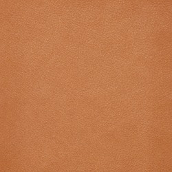 Läder Elmo 43807 cognac