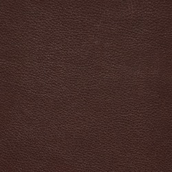 Läder Elmo 93957 mörk brun
