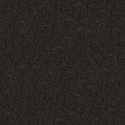 Flair Coal
