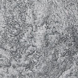 Charcoal