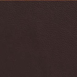 Läder Bonded Brun