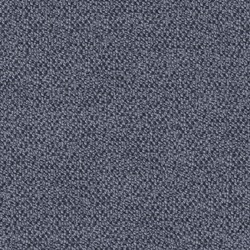 Taffie Denim