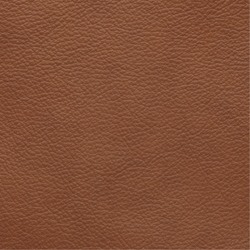 Madras/skai 276 Cognac