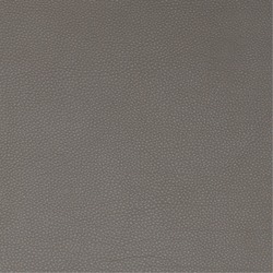 Anilux 475 Grey