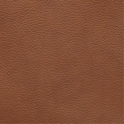 Madras/skai 276 Cognac