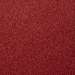 Semi 315 Red