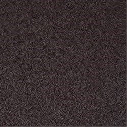Anilux 485 Dark Brown