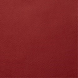 Semi 315 Red