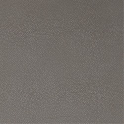 Anilux 475 Grey