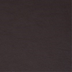 Anilux 485 Dark Brown